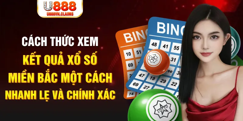 bet 169 xổ số miền bắc 30 ngày