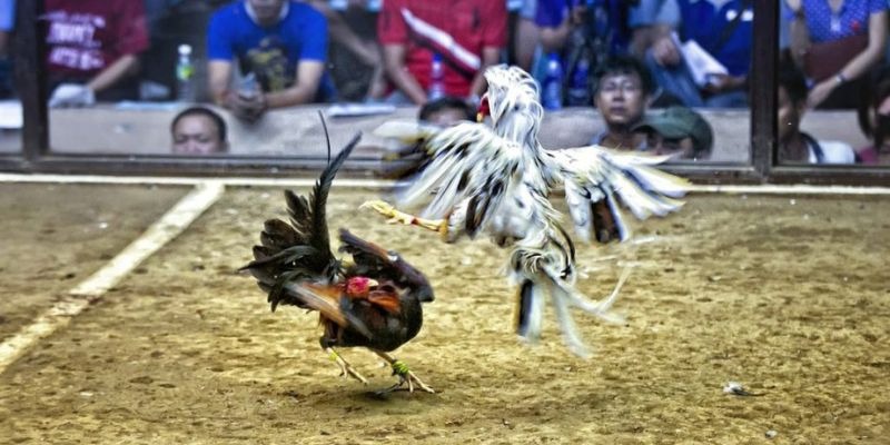 bet 169 ﻿đăng nhập lô đề uy tín