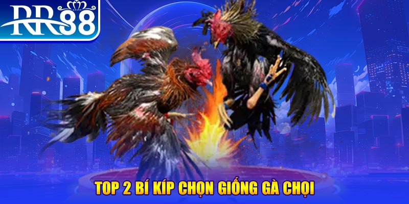 bet 169 bắn cá h5