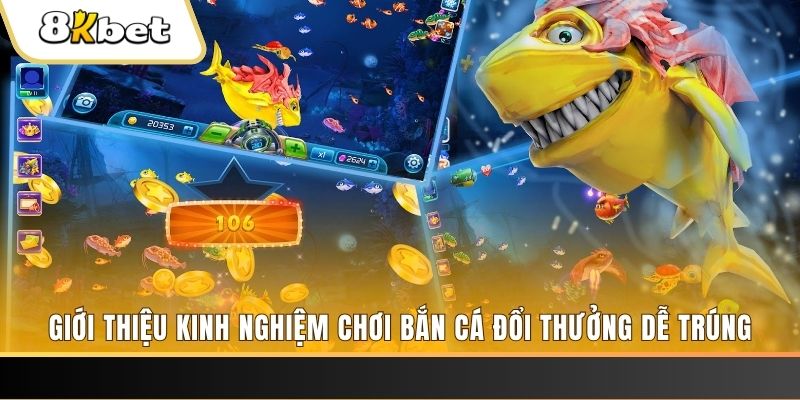 bet 169 xổ số miền bắc hôm