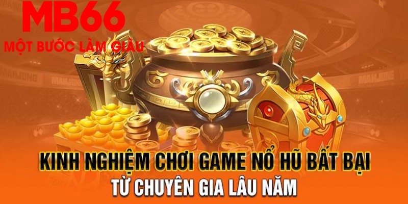 bet 169 đá gà hôm nay