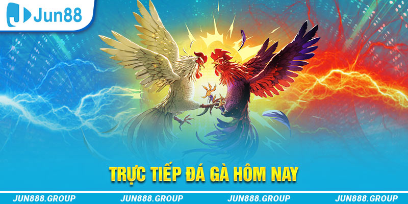 bet 169 trực tiếp đá gà thomo