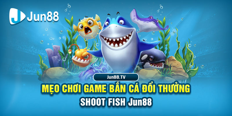 bet 169 tải game đánh bài online về máy tính