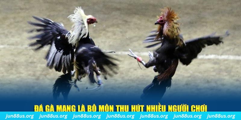 bet 169 xổ số long an