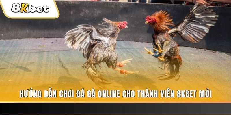 bet 169 nổ hũ đổi thưởng . ai