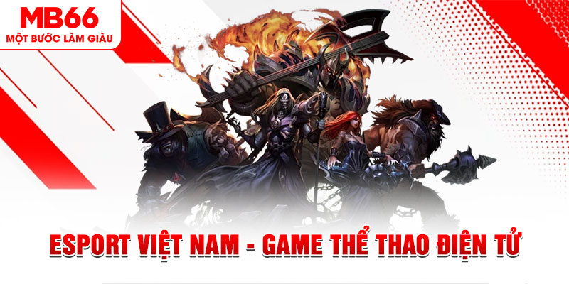 bet 169 PT Điện Tử