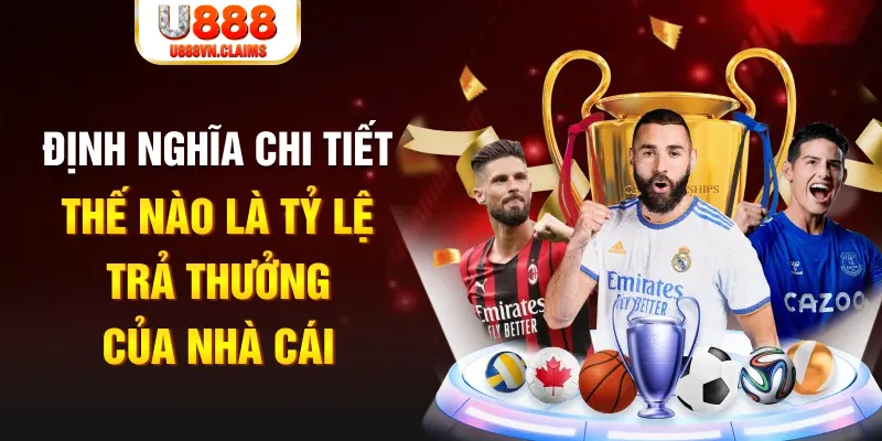 bet 169 đá gà thomo