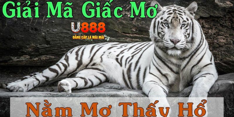 bet 169 Bài Poker Joker