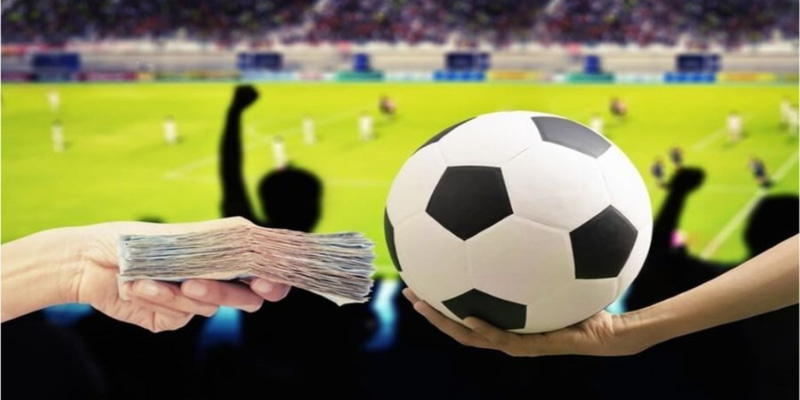 bet 169 xổ số đài bắc