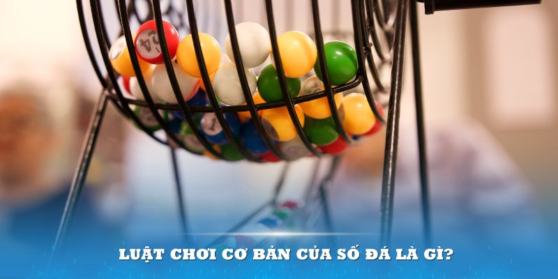 bet 169 Đĩa màu ace