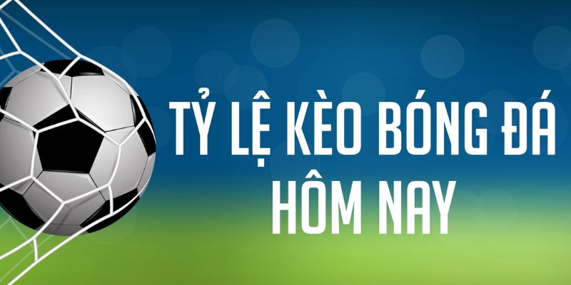 bet 169 ÁT CHỦ MÁY HOA QUẢ THẦN TÀI