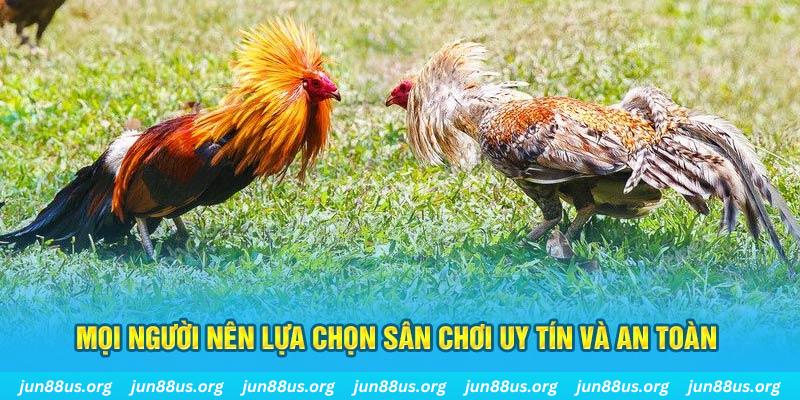 bet 169 Tài Xỉu
