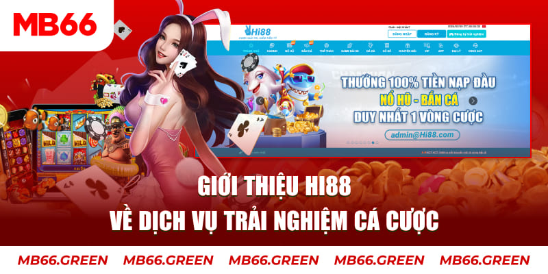 bet 169 máy tính casino