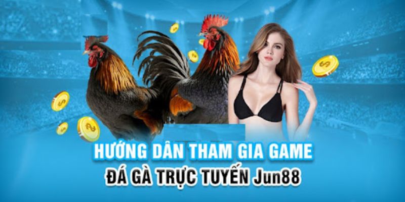 bet 169 slot có nghĩa là gì