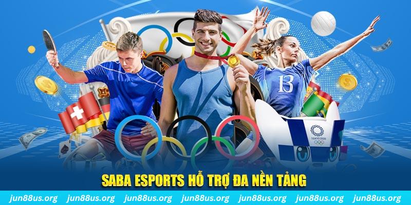 bet 169 gà chọi cu cần