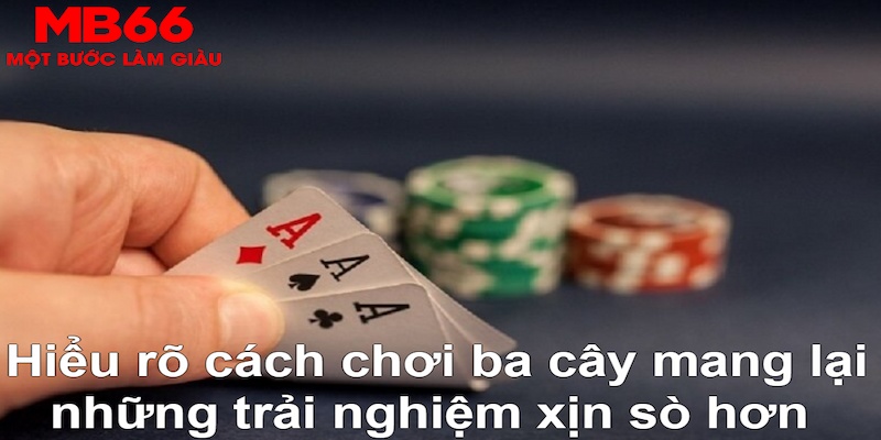 bet 169 DB Trực Tuyến
