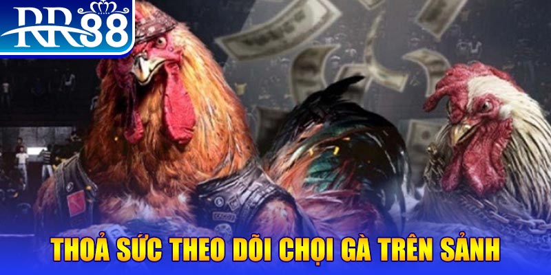 bet 169 casino online là gì