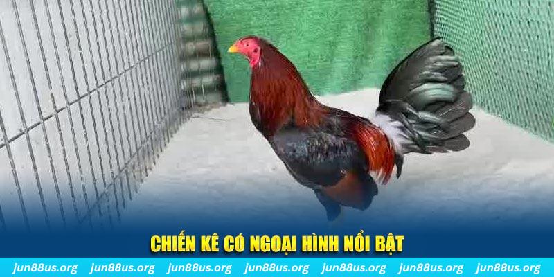 bet 169 nhạc slot là gì
