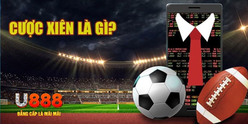bet 169 đá gà thomo hôm nay